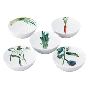 Noritake F5306L/1620-15 Noritake Bowl (Picture Change Set), 5.5 inches (14 cm), 16.2 fl oz (490 cc), Kyoka Shunya, Microwave Safe, Dishwasher Safe, 5 Pieces, Fine Porcelain