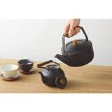 Miyazaki Seisakusho CHA-12 Tea Kettle, Large, 0.6 gal (2.0 L), Induction Compatible, Black Kettle