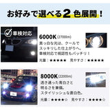 FCL. (Fshiel) D3S HID Valve White White White 6000K Volume Inspection 12V Genuine replacement 35W projector left and right two pieces