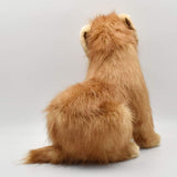Norfolk Terrier No. 3996