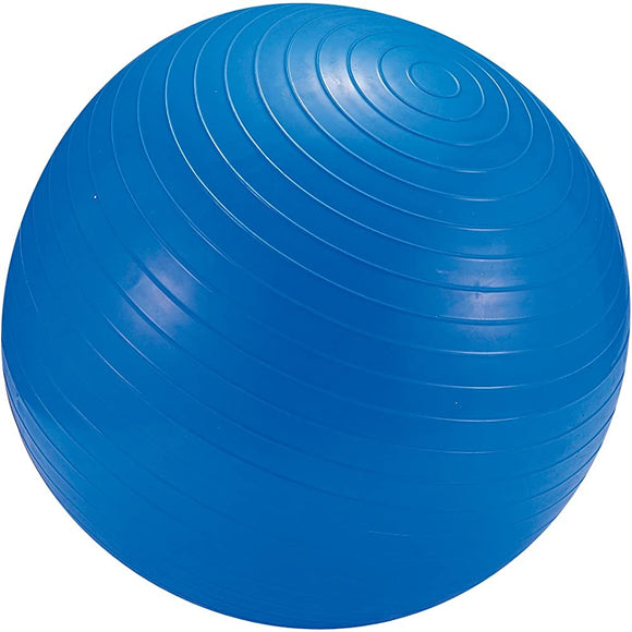 Captain Staig Fitness Ball 65 cm with Pump Blue MH – 6954