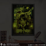 1000 Piece Jigsaw Puzzle Harry Potter and the Sorcerer's Stone (20 x 29 inches)