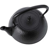 Japanese Good Things Traditional Crafts Nambu Ironware Iron Bottle 0.4 gal (1.2 L) Skin Black