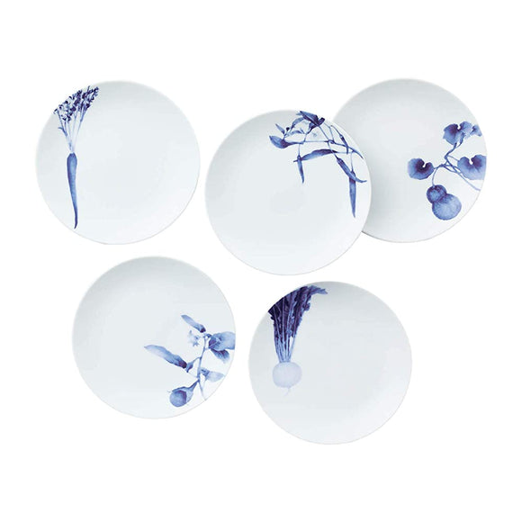 Noritake F91201/1720-37 Noritake Plate Picture Set, Diameter Approx. 6.3 inches (16 cm), Height Approx. 0.8 inches (2 cm), Shun Color, Indigo, Microwave, Dishwasher Safe, 5 Pieces, Fine Porcelain