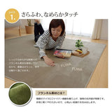 Ikehiko Rug, Carpet, 19.6 sq feet (1 jou), Anti-microbial, Anti-odor, Plain, Approx 36.2 x 72.8 inches (92 x 185 cm) (Electric Carpet Compatible)