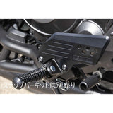 Moriwaki Step Hold Plate Rebel1100/T 05067-201T5-00 Black