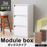 Iris Ohyama Color Box Storage Box Bookshelf with Door 3 Levels Width 36.6 x Depth 29 x Height 73.2 cm Off-White Module Box MDB-3D
