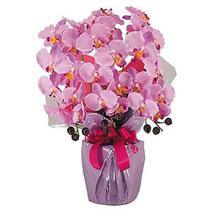 Kobe Hanatari cotyoran-3-lv Artificial Flowers, Artificial Phalaenopsis Pattern, 3 Flowers, Lavender, CT Catalytic Treatment, H 23.6 x W 17.7 inches (60 x 45 cm)