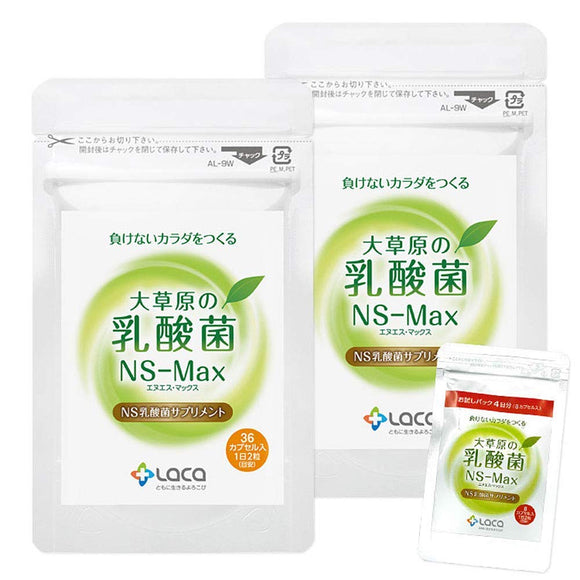 Lactic acid bacteria NS-Max [2 bag set] ◆8 grain extra set◆