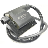 Advanced Pro ADV150 "Raiden" Enhancement Coil IGC-RD-HA
