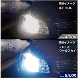 CAR MATE CAR HID HEADLIGHT, GIGA, Genuine Replacement, for Car Inspections