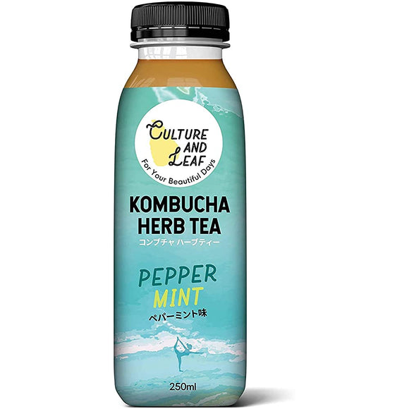 Kombucha HerbTea Culture & Leaf Herbtea Peppermint (250ml x 24 cans), Refrigerated
