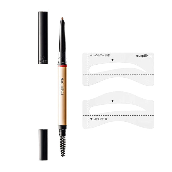 MAQUILLAGE Lasting Foggy Brow EX Limited Set H1 Eyebrow Brown 0.12g