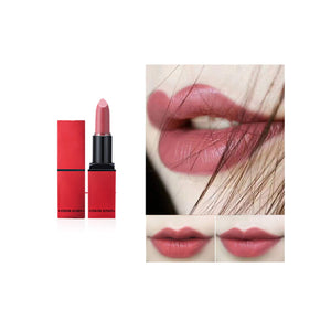 Matte velvet lipstick lipstick colorfast waterproof lip makeup recommended (04#)