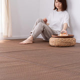 Hagiwara 81847560 Igusa (Rush Grass) Rug, "South Style", Edoma, 6 Tatami Mats