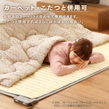 Iris Ohyama HCM-T1818-H Electric Heated Carpet, 3.5 sq ft (2 Tatami Mats), Room Temperature Sensor, Energy Saving, 69.3 x 69.3 inches (176 x 176 cm), Gray