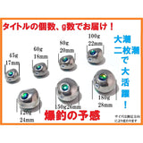 HEARTLAND-K.K tungsten tie lava (sea bream mackerel) head 45g to 210g 3 pieces