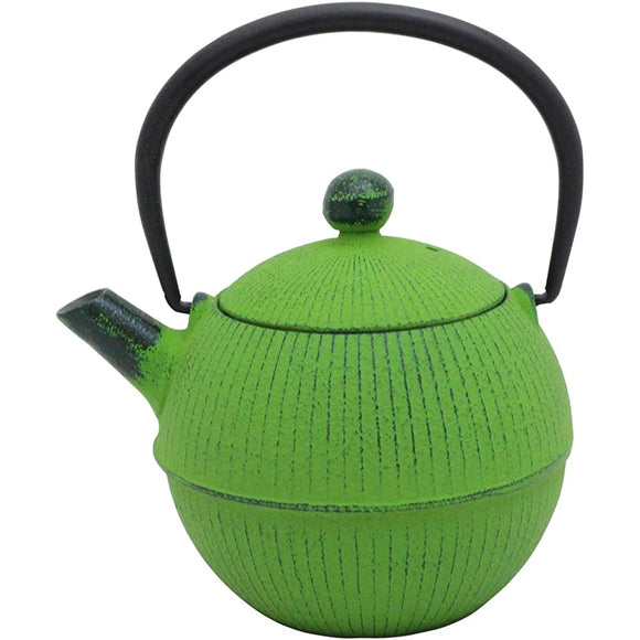 Nambu Ironware T-61 Teapot Teapot Green 0.5 L