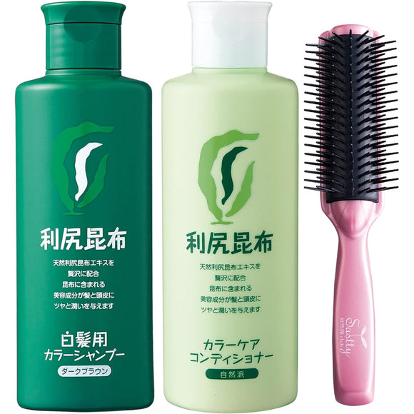 Rishiri color shampoo (dark brown) & color care conditioner 200ml + mineral ion brush