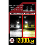 YOURS (Yours) Series 30 Series Alphard Vellfire Fog Lump Unit + LED Set [Yellow 3000K] (12000LM) Y212-036 [2] S