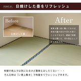 Ikehiko #1104546 Domestic Rice Mat Rug Carpet, Water Repellent, Hohoemi, 36.8 x 144.0 inches (273 x 364 cm), Made in Japan