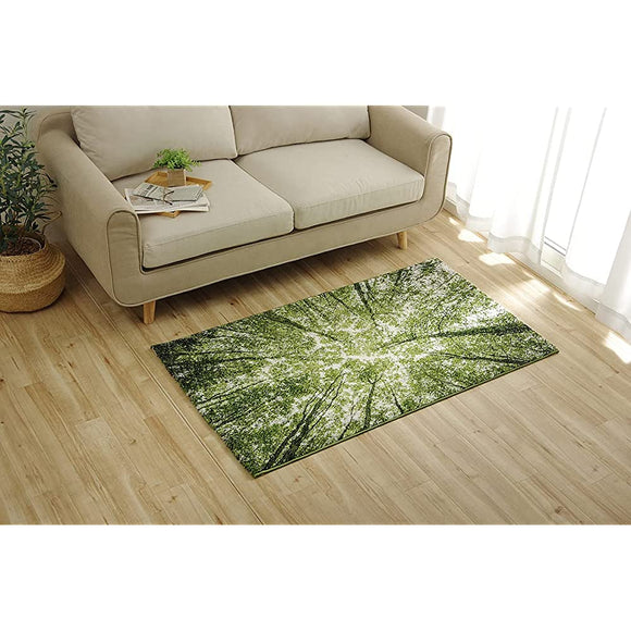 Ikehiko #2346509 Wilton Weave Rug, Carpet, Mat, Rectangular, Gaia, Approx. 31.5 x 55.1 inches (80 x 140 cm), Green, Antibacterial, Odor Resistant, Shed Resistant