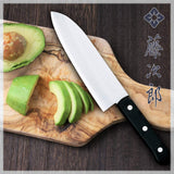 Fujijiro Santoku F-311 6.7 inches (170 mm), Japanese Cobalt Alloy Steel, Double-edged All-Purpose Knife for Meat, Fish, Vegetables, DP Cobalt Alloy Steel Interruption