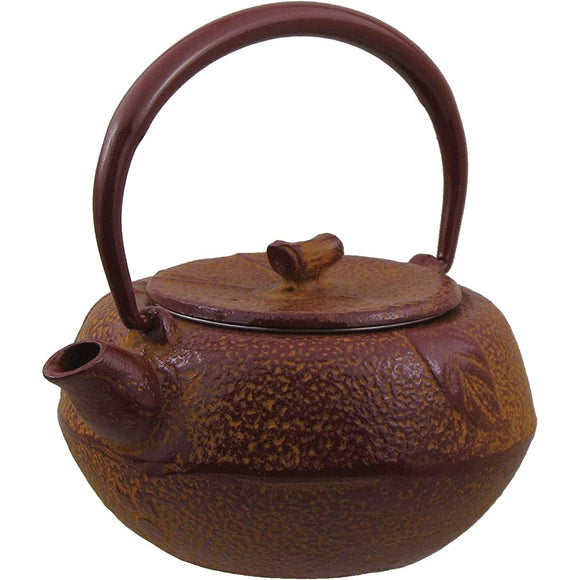 Nagao Mizusawa x Tsubame Sanjo Nanbu Ironware Teapot, Honeskan, Orange, 6.1 fl oz (180 ml)