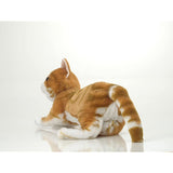 Trend Master Plush Belly Belly Series Belly Belly Cat DX Action Dog Dog