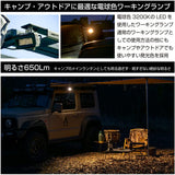 IPF fog lamp work light LED 2 inch single 600S series Camp outdoor lantern Lightweight compact bulb color 641WL-1