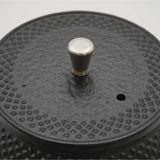 Kabunami Shoten 50094 Nambu Teapot, Miyabi, Black, 0.1 fl oz (0.4 L), Made in Japan, Outdoor Activities, Camping, Can Be Repainted