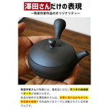 Kitsako Tokoname Ware Sawada's Modern Teapot (Handmade Teapot by Ceramic Artist), 6.1 fl oz (170 ml), Artist Teapot, Ceramic Tea Strainer, Black Gray, For 1 Person, Made in Japan, Kitsusako