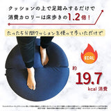 Spice of Life YBLS2250DNY Wellness Walking Cushion, Dark Navy, Memory Foam, Training Cover, Hand Washable, Diameter 27.6 inches (70 cm), Bi-Foldable