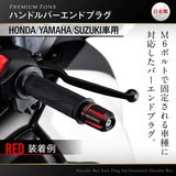 Daytona PREMIUM ZONE (Premium Zone) Bike Burend Honda/Yamaha/Suzuki (M6) Scratch type Ash Silver 93914