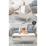 Hagiwara RD-1125WS Dresser Table Dresser, Low Type, 2-in-1, Compact, Vanity Stand, Desk, Storage, Width 29.5 inches (75 cm), White