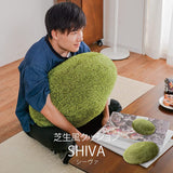 Hagiwara Round Cushion, Green, Diameter Approx. 35.4 x 5.9 inches (90 x 15 cm), "Sheva" Lawn Style Cushion