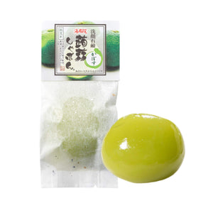 Konnaku Shabon Yubuin Konnyaku Shabon Pumps, 3.5 oz (100 g), Soap, Facial Wash Soap, Natural, Additive-Free (Tourist Locations Hot Water Bottle)