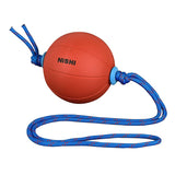 NISHI Swing Medicine Ball