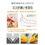 Kyocera FKR-160-N Fine Ceramic Santoku Knife, 6.3 inches (16 cm), Black, Bleach and Disinfectant, Free Resharpening Ticket Included