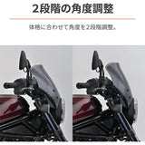 Blast Barrier Smoke for Daytona Bike 1100/DCT (21-23) Dedicated Blast Barrier Smoke 21622