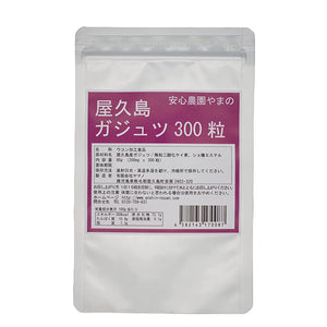Yakushima zedoary (purple turmeric) 300 grains Pesticide-free, chemical fertilizer-free purple turmeric tablets