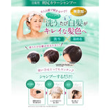Rishiri Color Shampoo (Black) Value Size 16.9 fl oz (500 ml) + Mineral Ion Brush