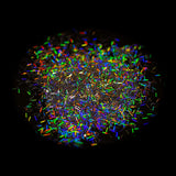 DIY Master Hologram Glitter Flake Long 0.3mm x 4.7mm (Large) 8.8 Oz (250 g)