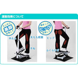 ALINCO FA4016 Stepper with Handle, Protective Mat