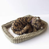 Perfect Pet Plush Toy, Squishy Stomach Moving Cat (Small, Kijitra Cat)