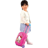 Hello Kitty Kitchen Hennshin Carry Case