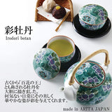 Ranchant S Teapot Tea Cup with Tea Strainer, Green, 6.7 x 4.3 x 3.5 inches (17 x 11 x 9 cm), 450 cc φ3.4 x 2.3 inches (8.7 x 5.8 cm), 180 cc (cm) Colored Peony Arita Ware Made in Japan