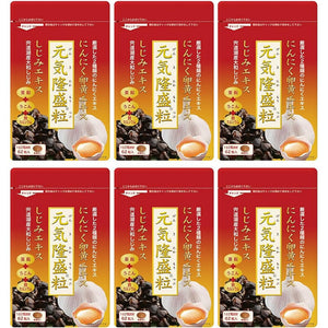 Dainichi Healthy Foods Genki Ryusei Grain 62 tablets, 6 bags, Garlic, egg yolk, freshwater clam, turmeric, sugar-coated grain type supplement