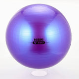 Nishi (Whelk, Sports) Balance Ball Non Burst V Ball