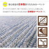 OPIST AM1 Carpet Rug Mat, Antibacterial, Made in Japan, Edo Space, 103.2 x 13.8 inches (261 x 352 cm), Folding Carpet, Blue